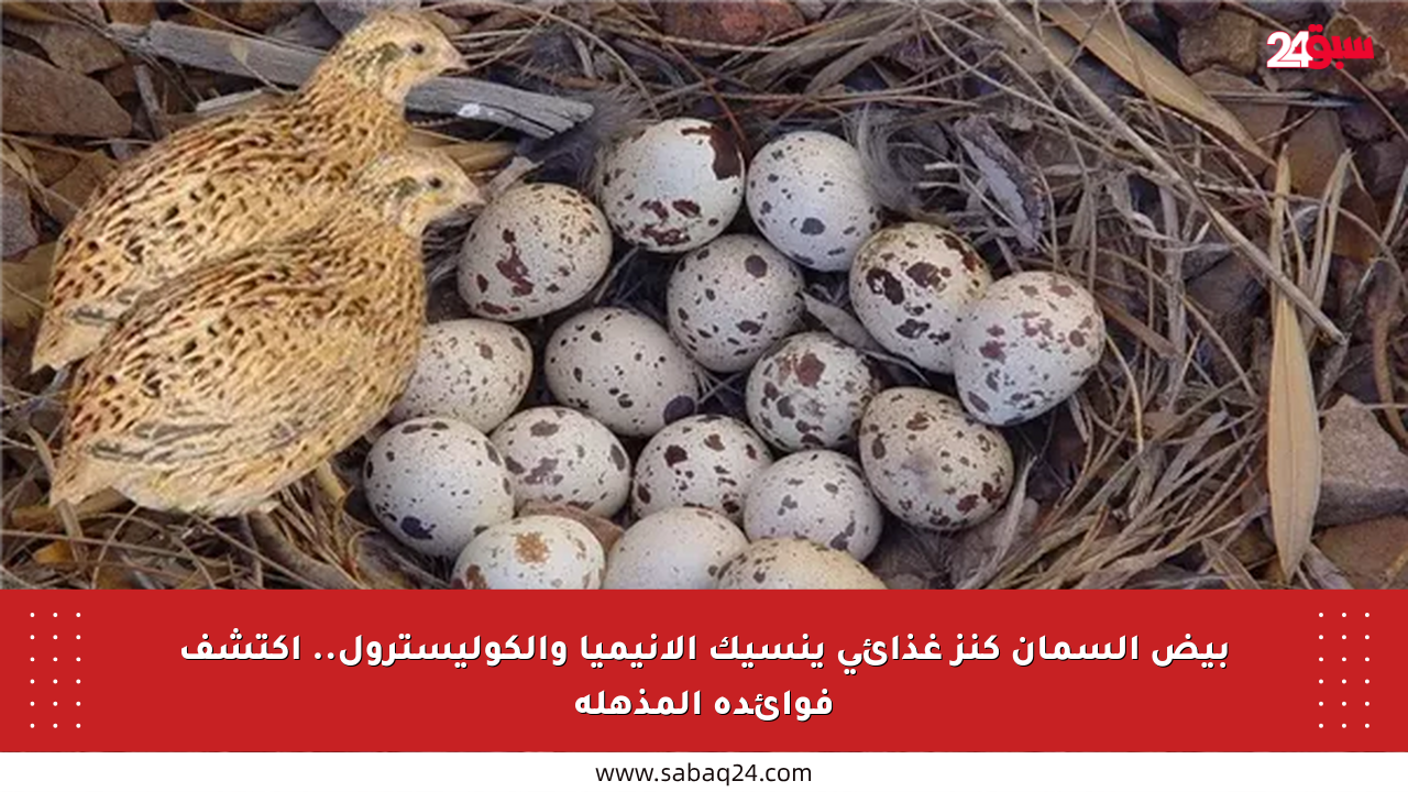 بيض السمان كنز غذائي ينسيك الأنيميا والكوليسترول.. اكتشف فوائده المذهلة
